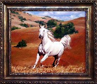 Белогривая лошадь в прерии