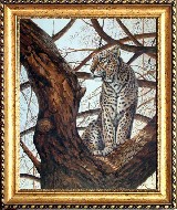 Леопард, высматривающий добычу. Копия