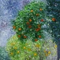 В апельсиновом саду