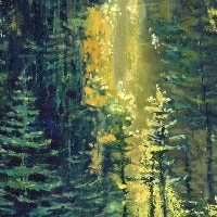 Луч солнца в лесной глуши
