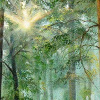 Утренние лучи солнца в свежем лесу