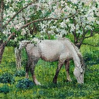 Белая лошадь в цветущем саду