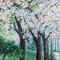 Цветущая вишневая аллея