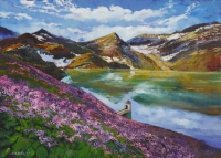 Цветущий склон у озера в горах