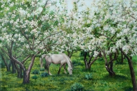 Белая лошадь в цветущем саду