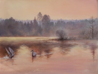 Лебеди в утреннем пейзаже